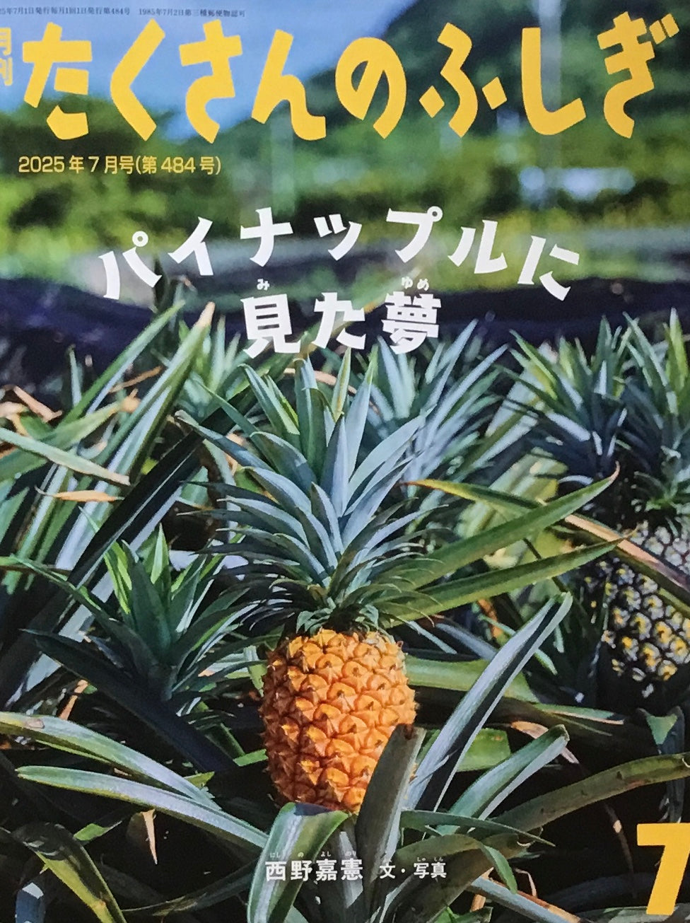 パイナップルに見た夢　たくさんのふしぎ484号　2025年7月号