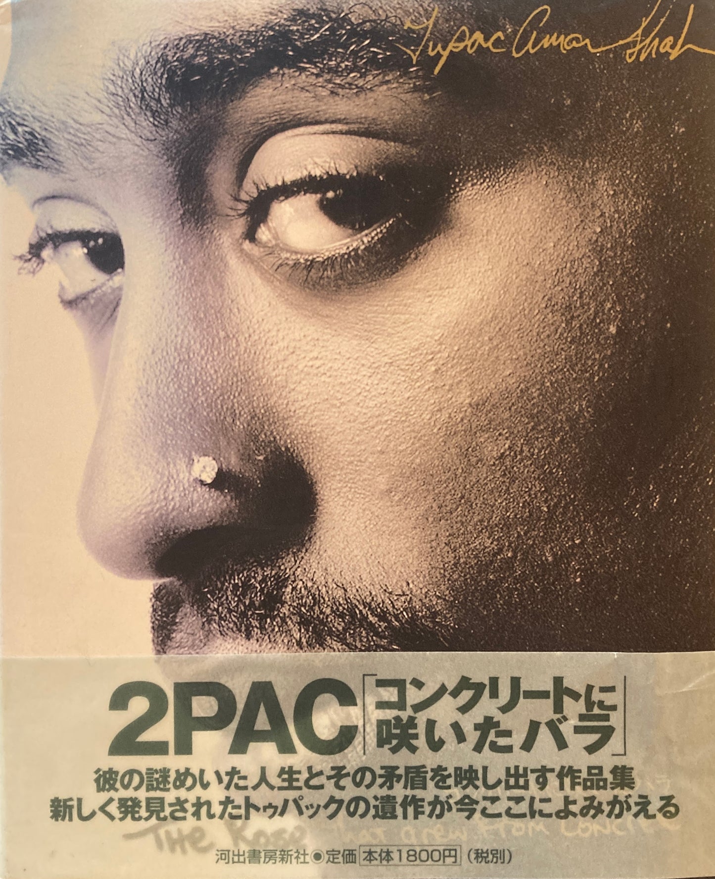 コンクリートに咲いたバラ 2Pac トゥーパック