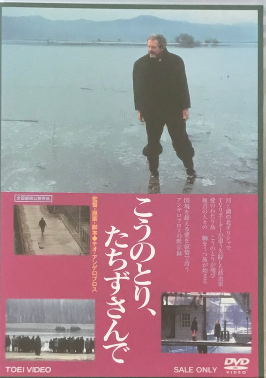 こうのとり、たちずさんで　テオ・アンゲロプロス　DVD
