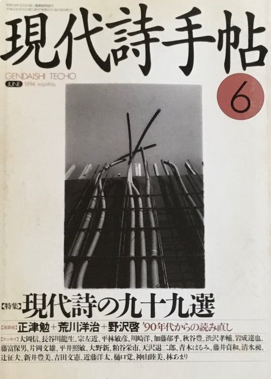 現代詩手帖　1994年6月号　現代詩の九十九選