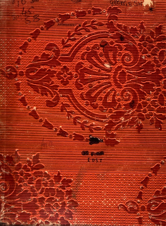 GEORGE SHAW I.D.S.T. 　The New Life　ジョージ・ショー　