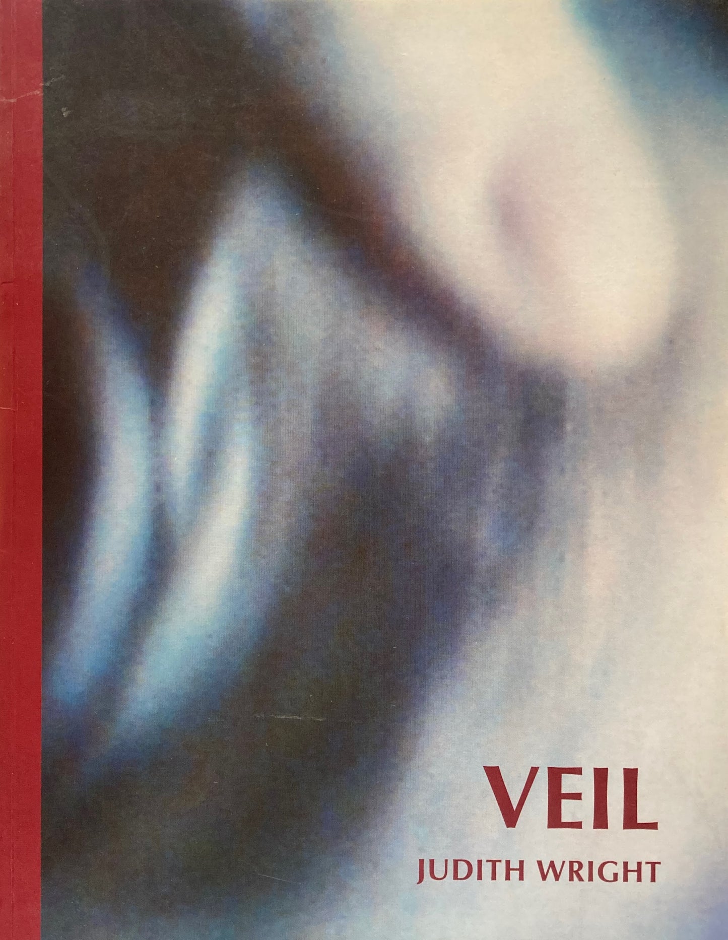 Veil Installations, books and video walks Judith Wright　ジュディス・ライト