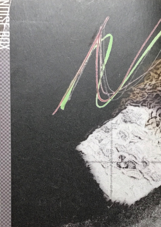 NOISE BOX　慶應義塾大学　騒音詩社