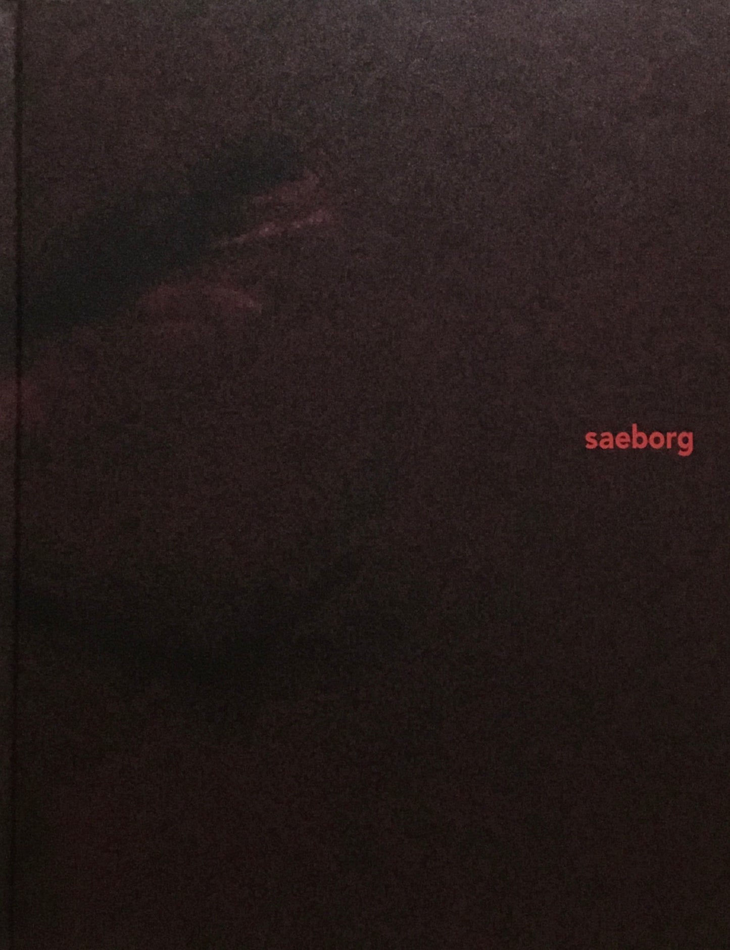 saeborg　サエボーグ　東京都現代美術館