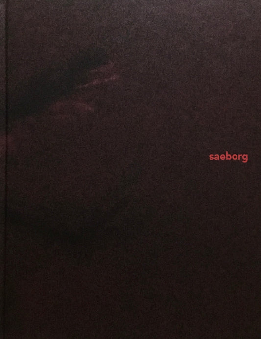 saeborg　サエボーグ　東京都現代美術館