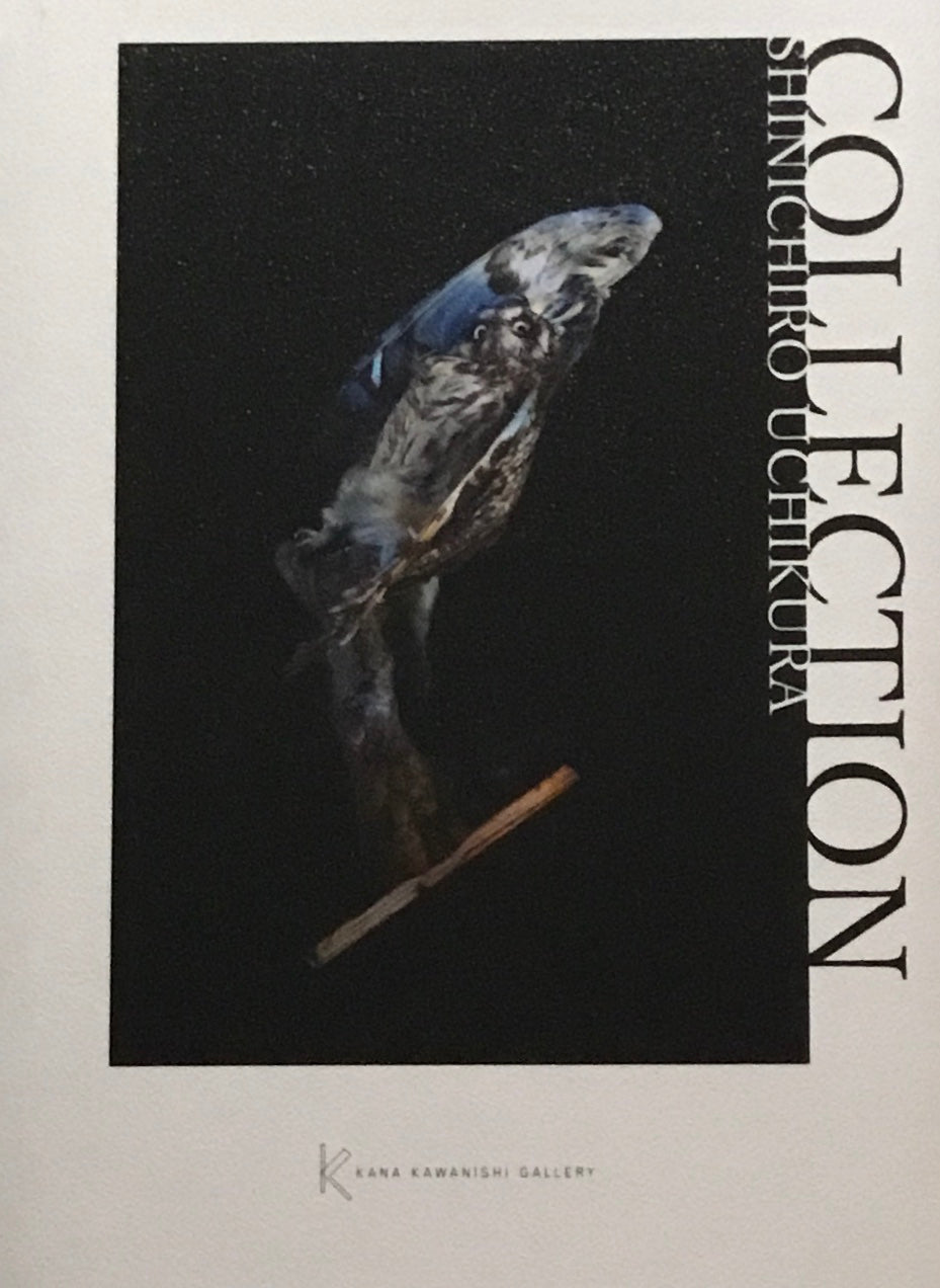 Collection Shinichiro Uchikura　内倉真一郎