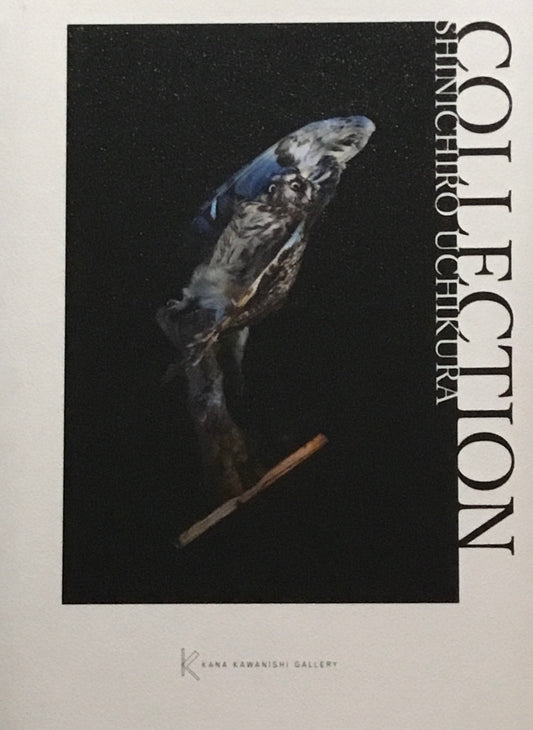 Collection Shinichiro Uchikura　内倉真一郎