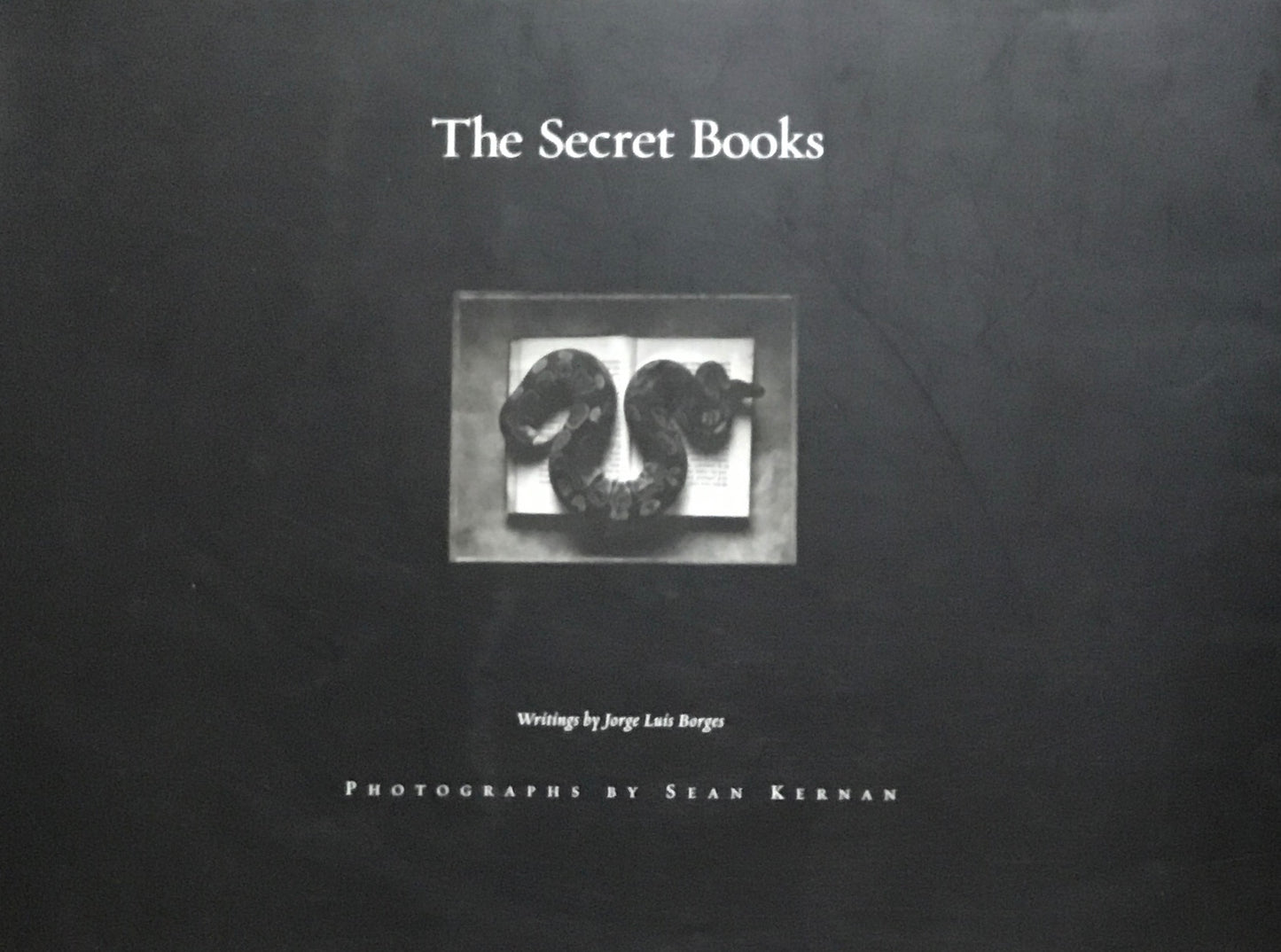 The Secret Books Sean Kernan Luis Borges