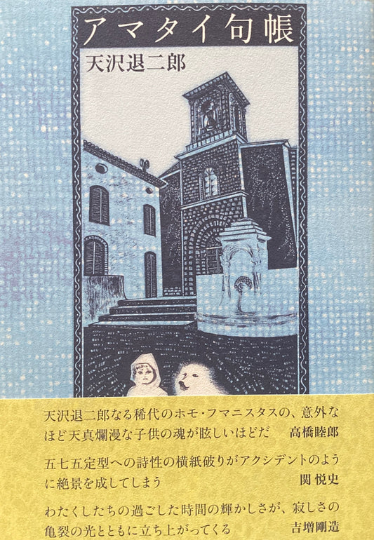 アマタイ句帳　天沢退二郎　