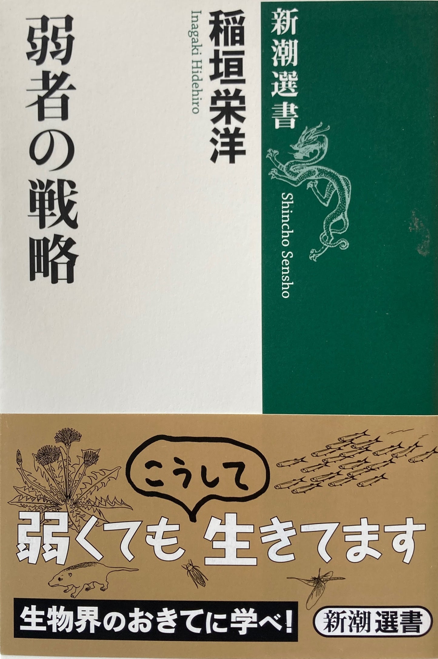 弱者の戦略　稲垣栄洋　