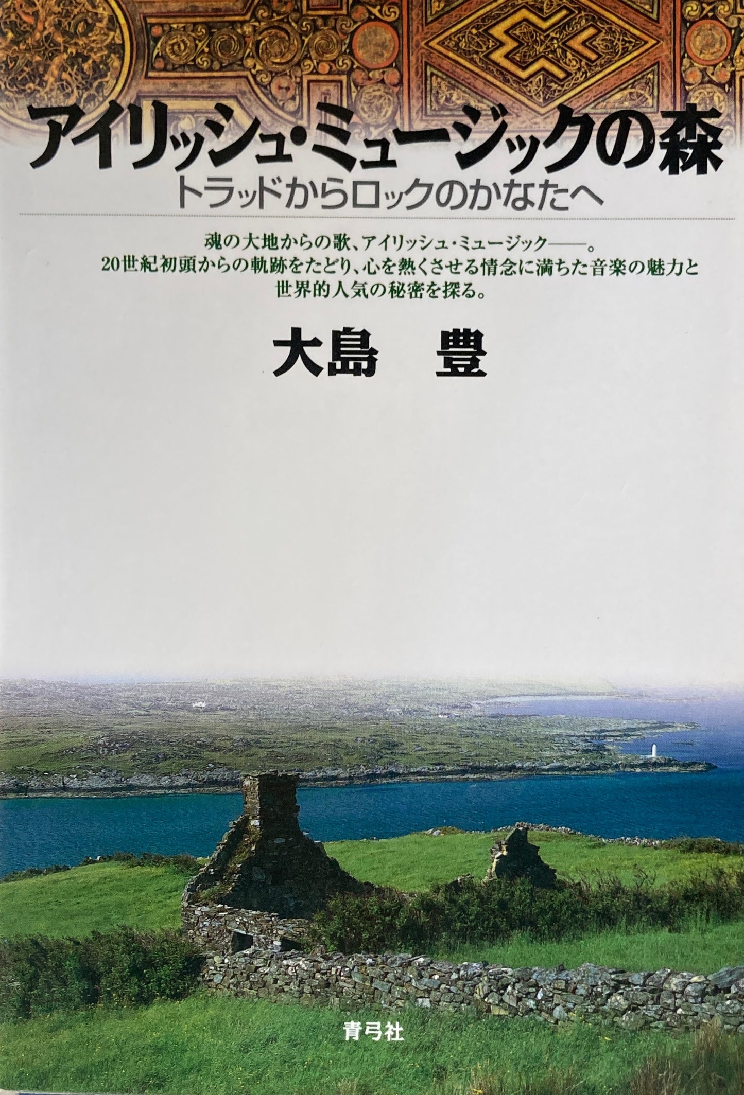 アイリッシュミュージックの森　トラッドからロックのかなたへ　大島豊　