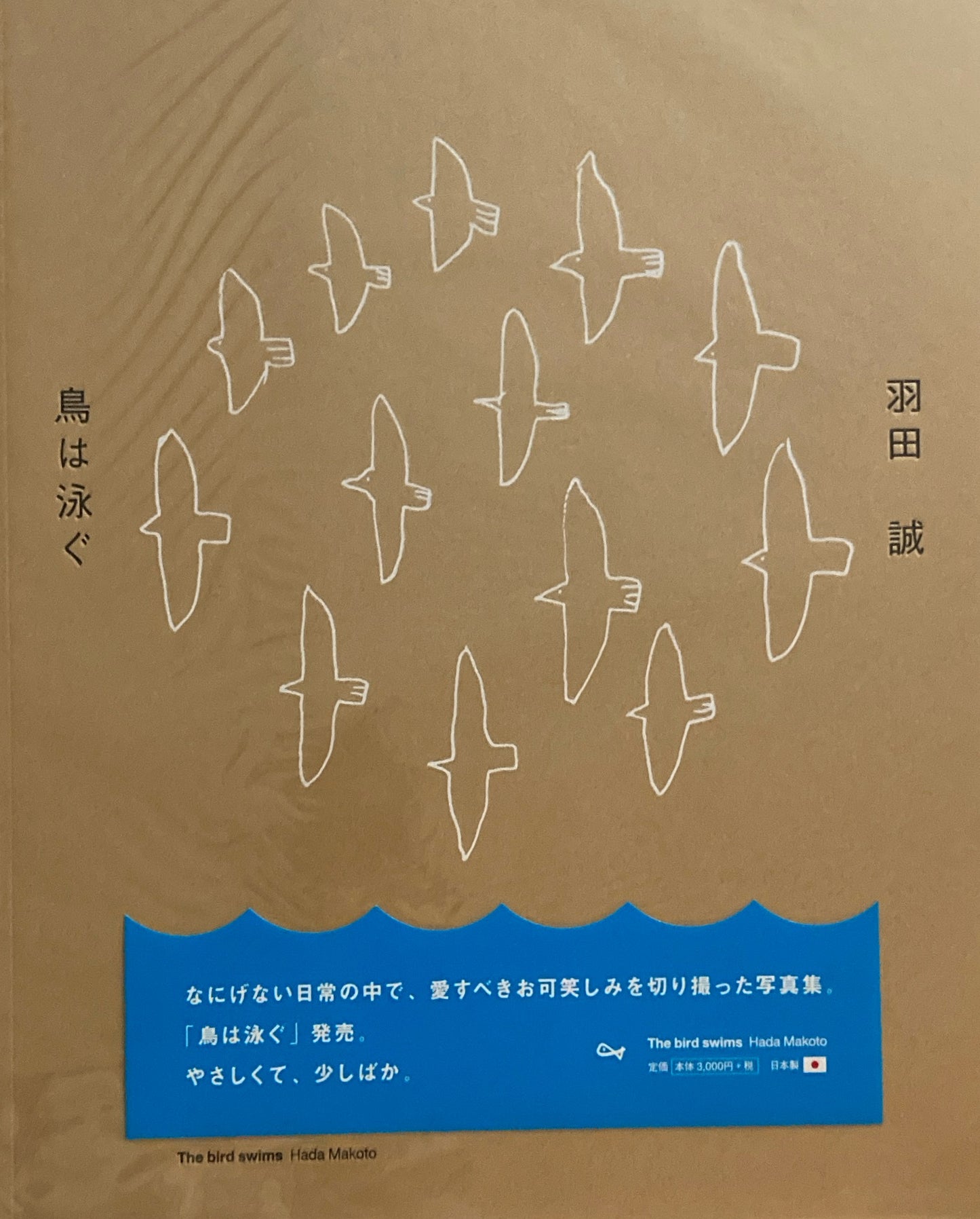 鳥は泳ぐ　羽田誠　