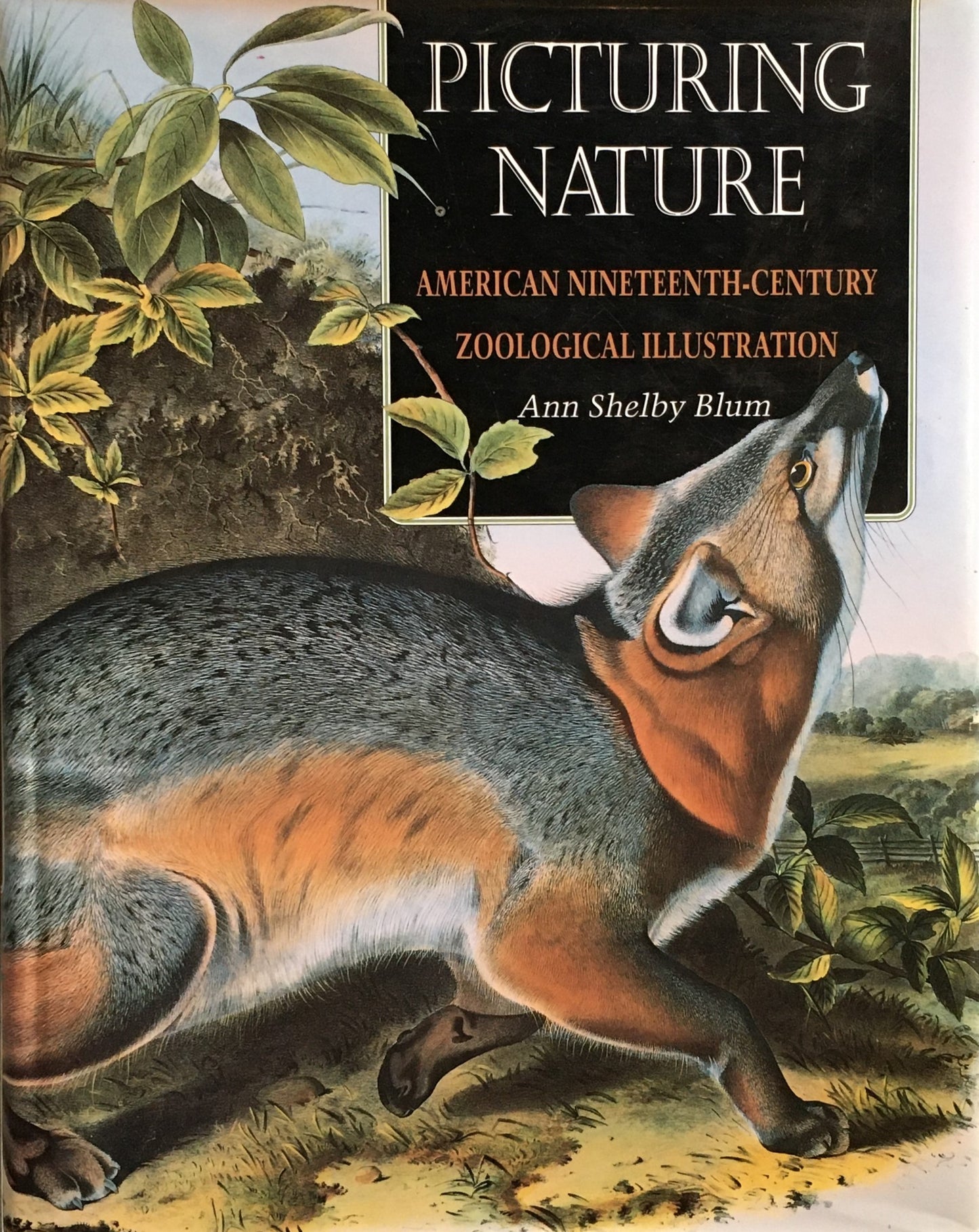 Picturing Nature　American Nineteenth-Century Zoological Illustration　Ann Shelby Blum