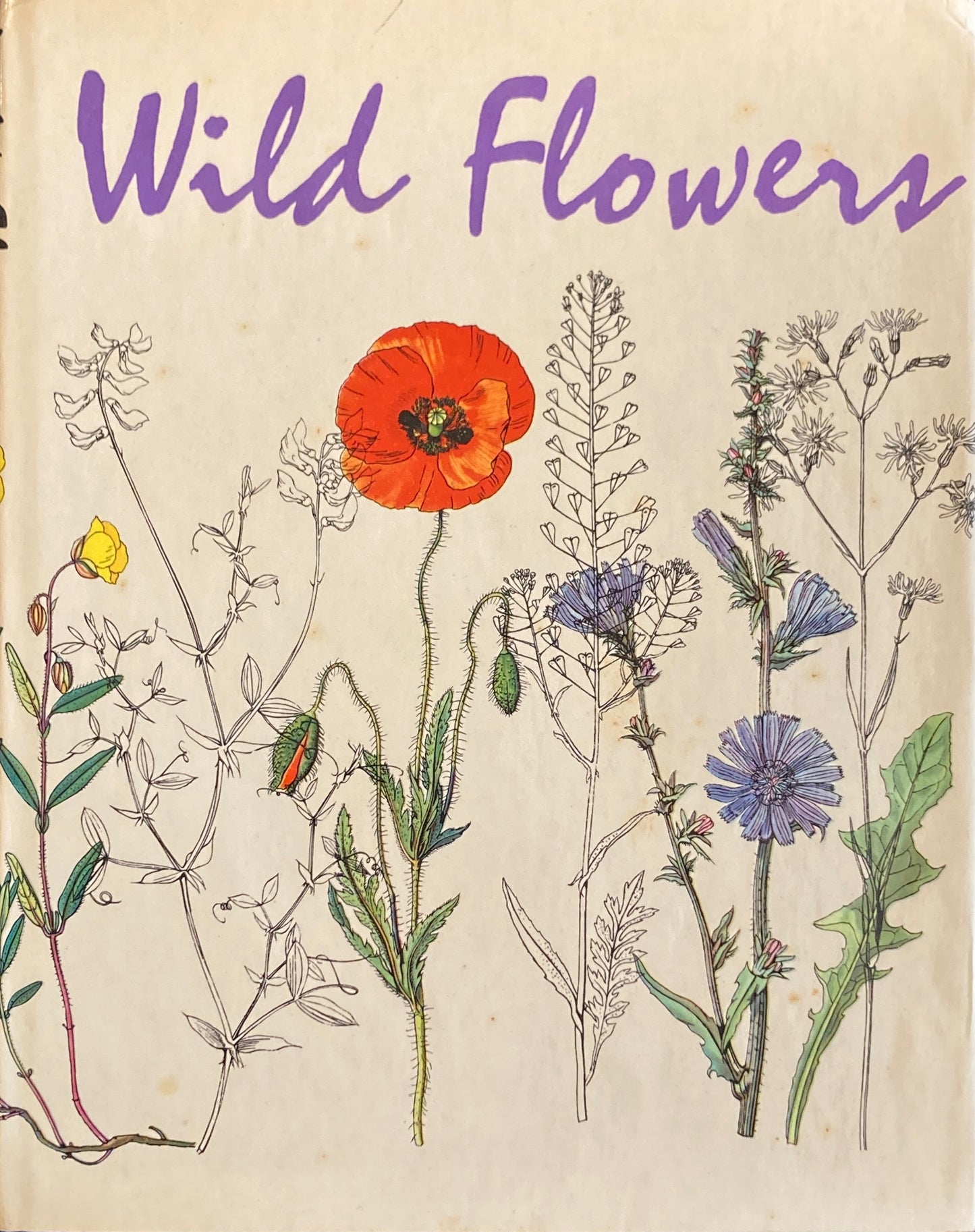 Wild Flowers　K.Ssvolinsky カレル・スヴォリンスキー