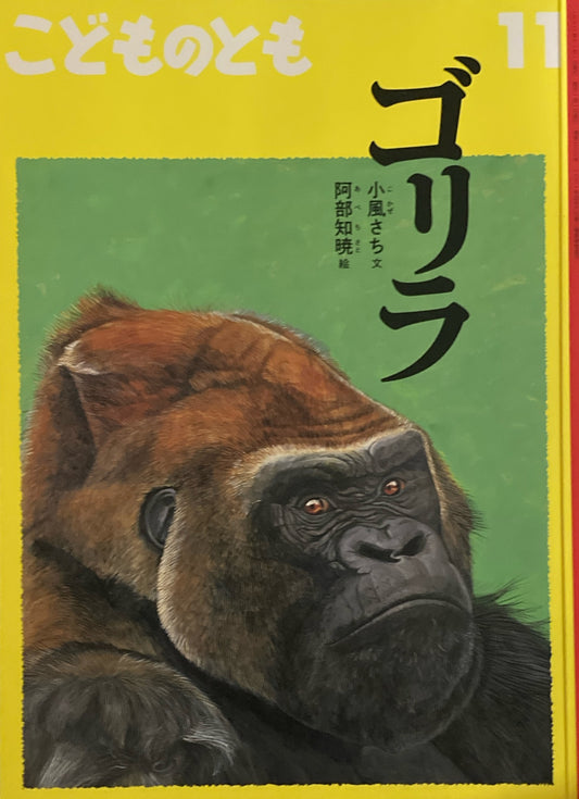 ゴリラ　こどものとも788号　2021年11月号