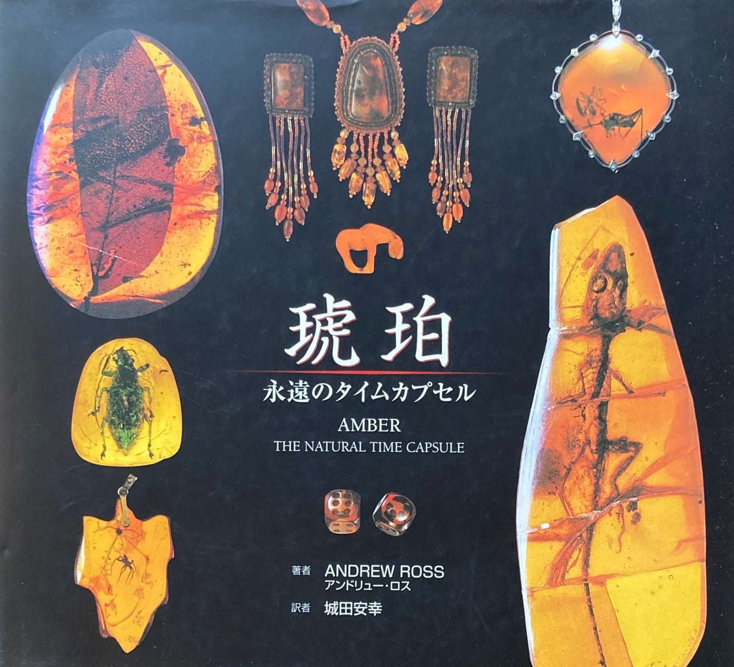 琥珀　永遠のタイムカプセル　アンドリュー・ロス