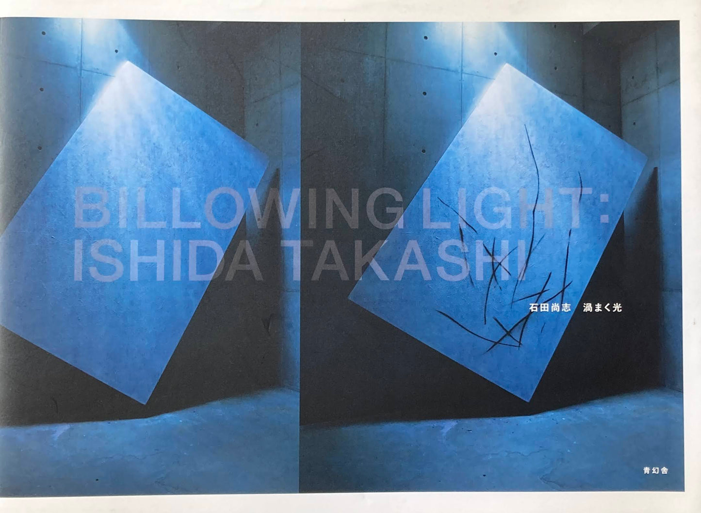 渦まく光　石田尚志　Billowing Light Ishida Takashi