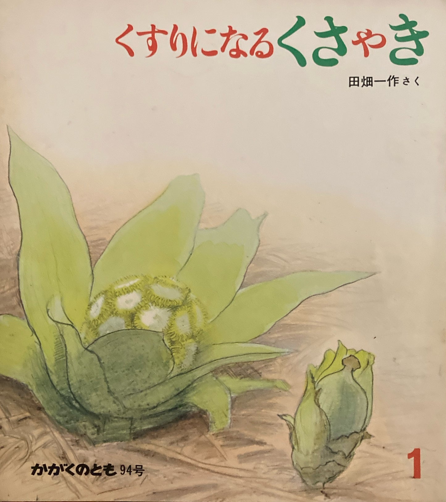 くすりになるくさやき　田畑一作　かがくのとも94号　1977年1月号