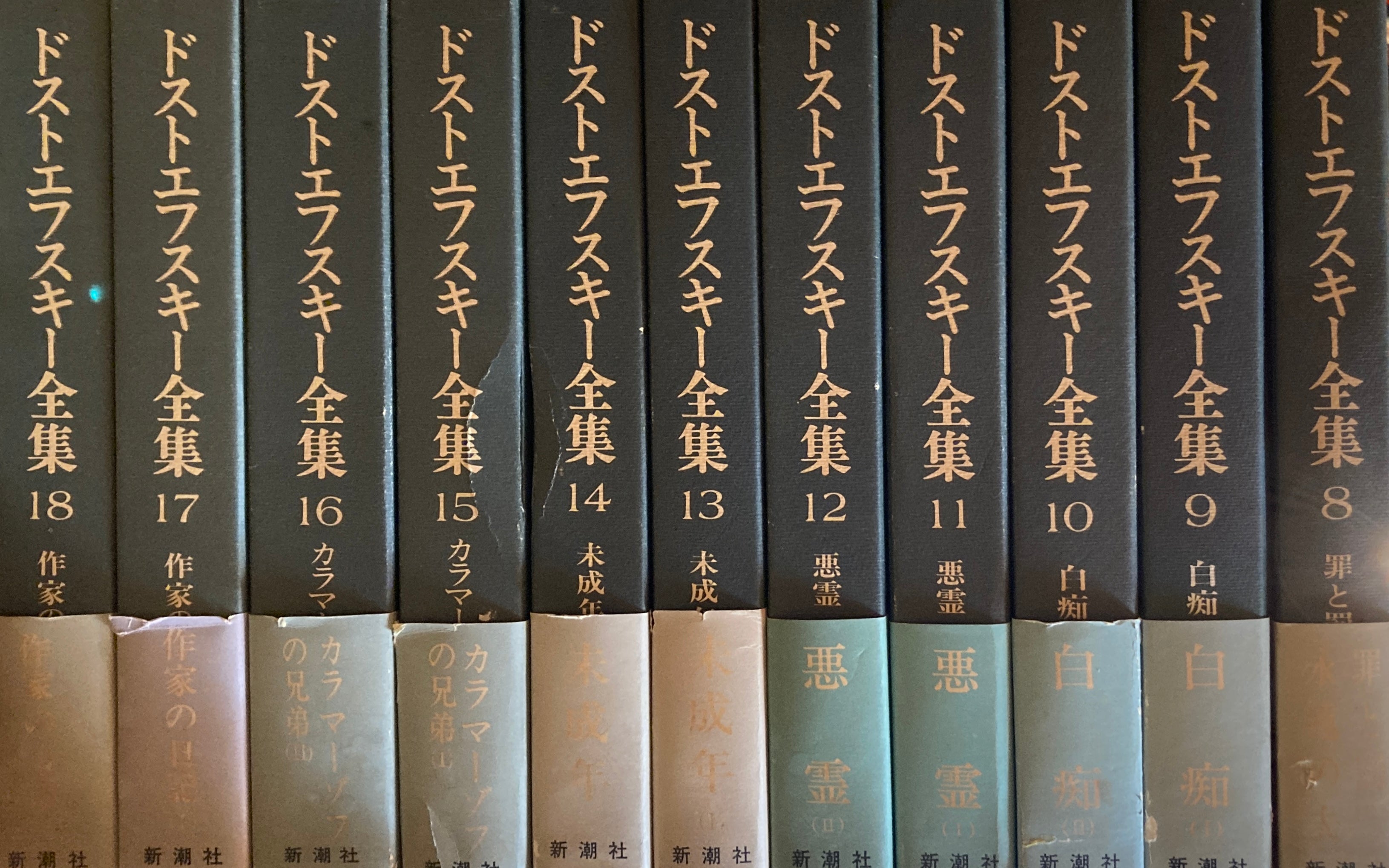 日本未入荷！入手困難！ ドストエフスキー全集２７刊 別巻年譜 別巻