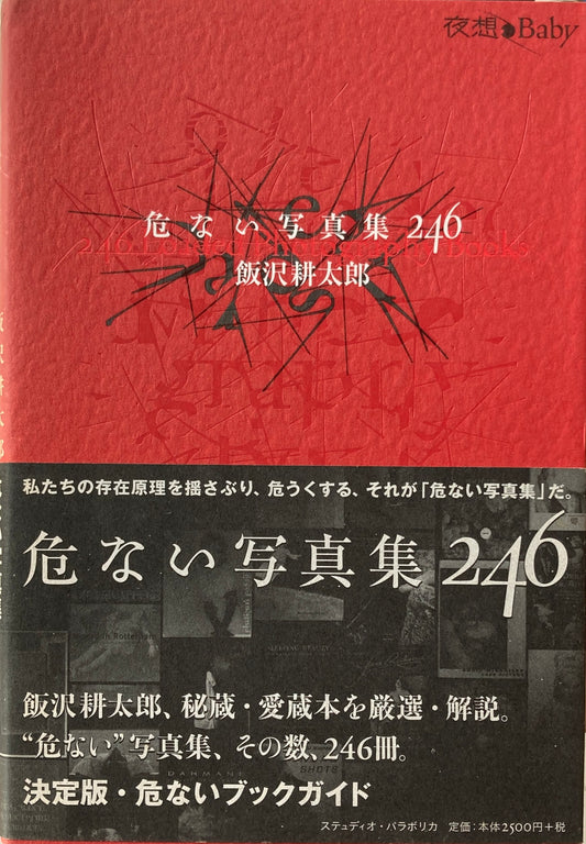 危ない写真集246　飯沢耕太郎