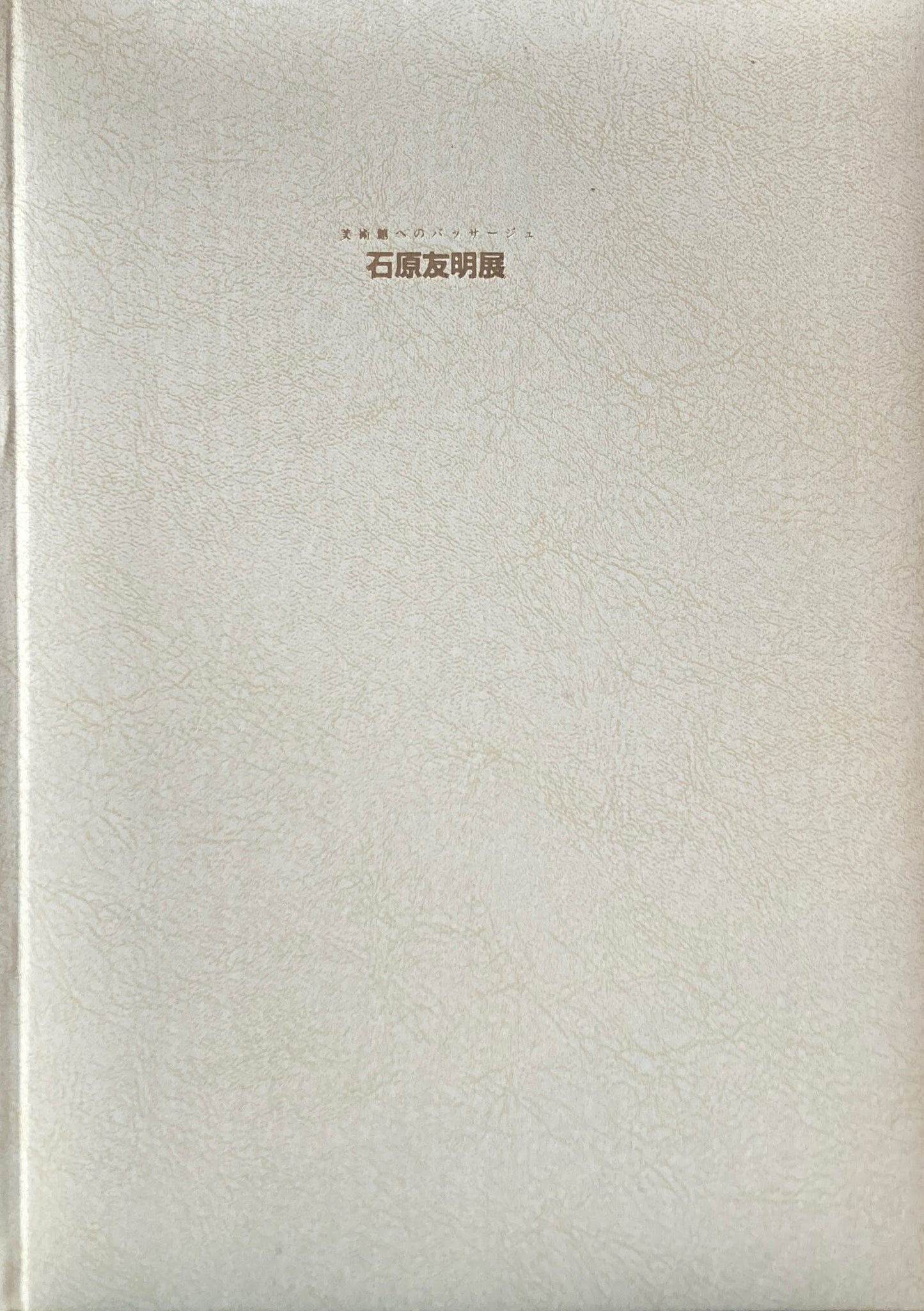 石原友明展　美術館へのパッサージュ　栃木県立美術館　1998　