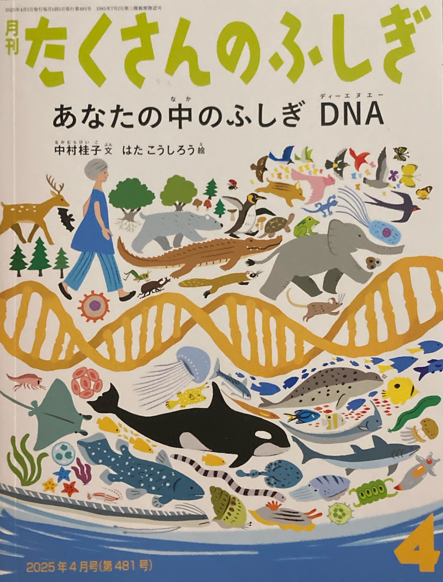 あなたの中のふしぎ DNA　たくさんのふしぎ481号　2025年4月号