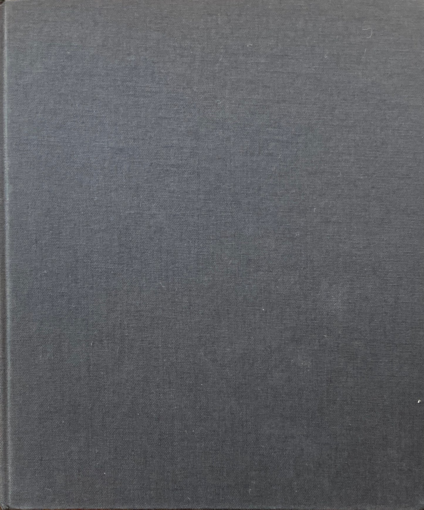 the concerned photographer