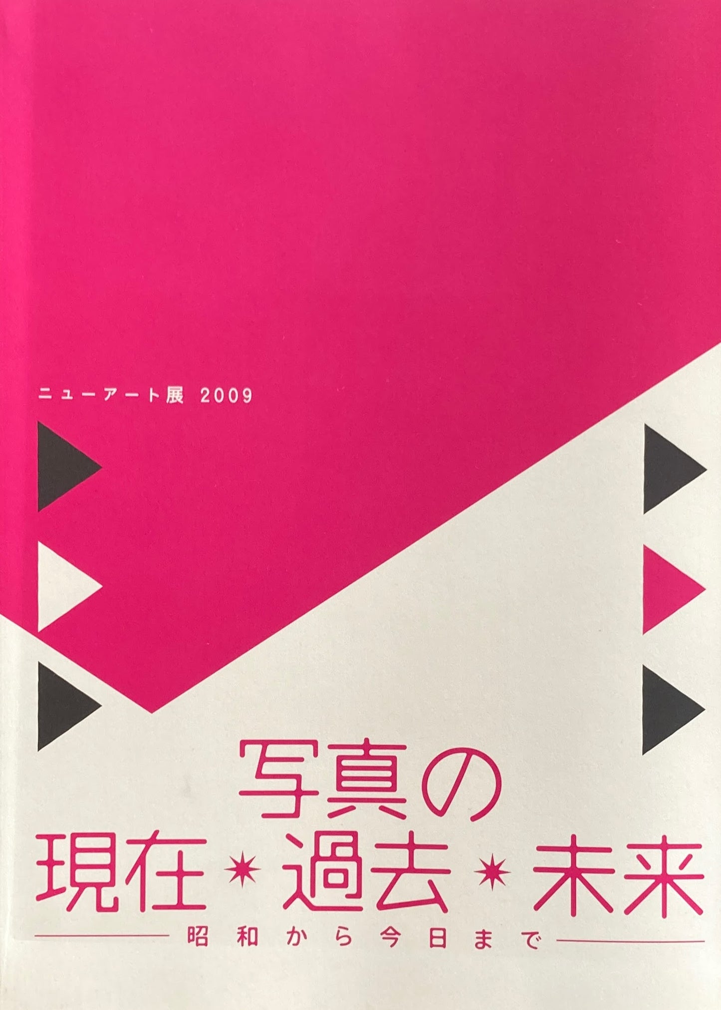 ニューアート展2009　写真の現在・過去・未来　昭和から今日まで　横浜市民ギャラリー　