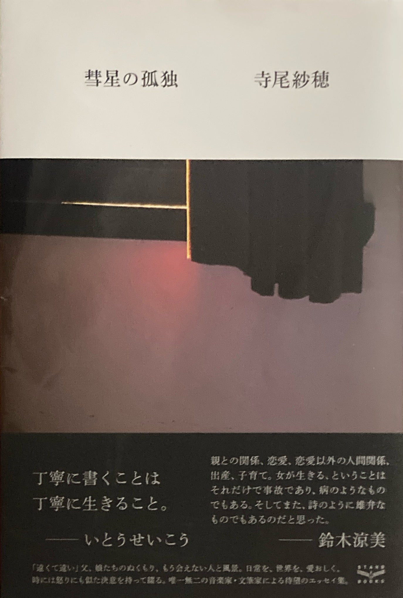 彗星の孤独　寺尾紗穂