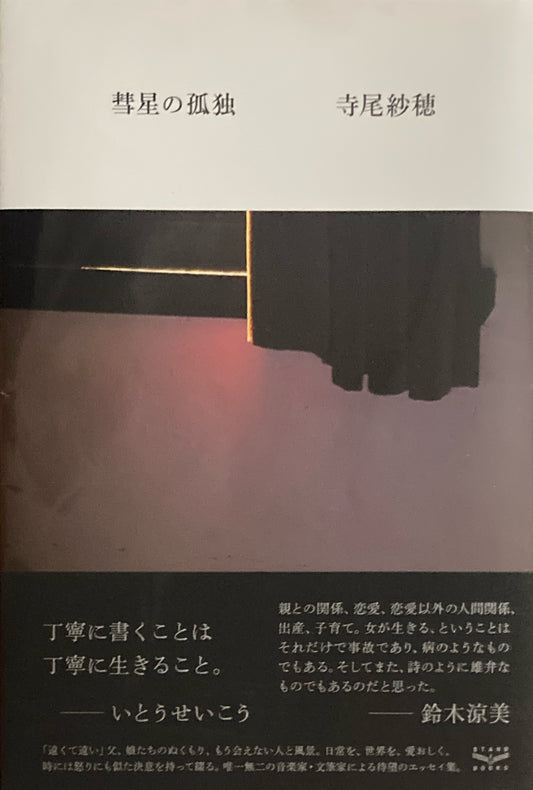 彗星の孤独　寺尾紗穂