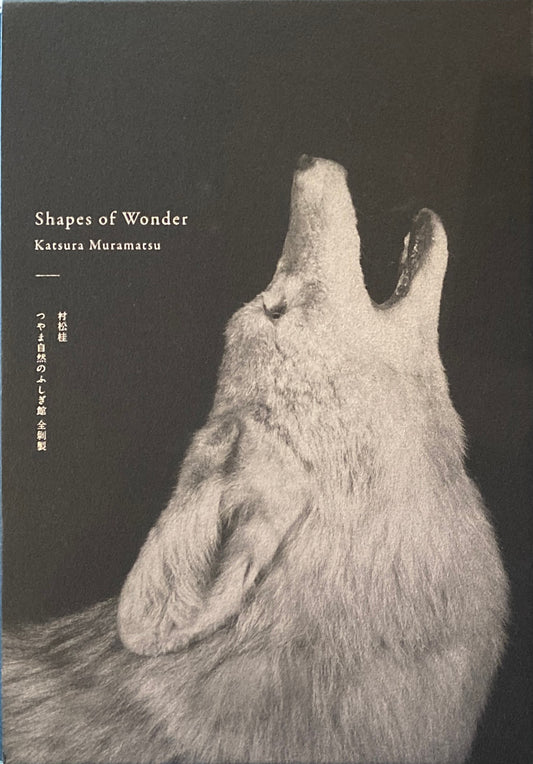 Shapes of Wonder つやま自然のふしぎ館 全剝製  　村松桂