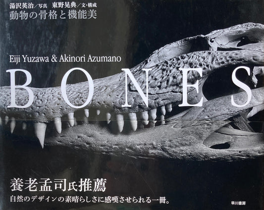 Bones : 動物の骨格と機能美　