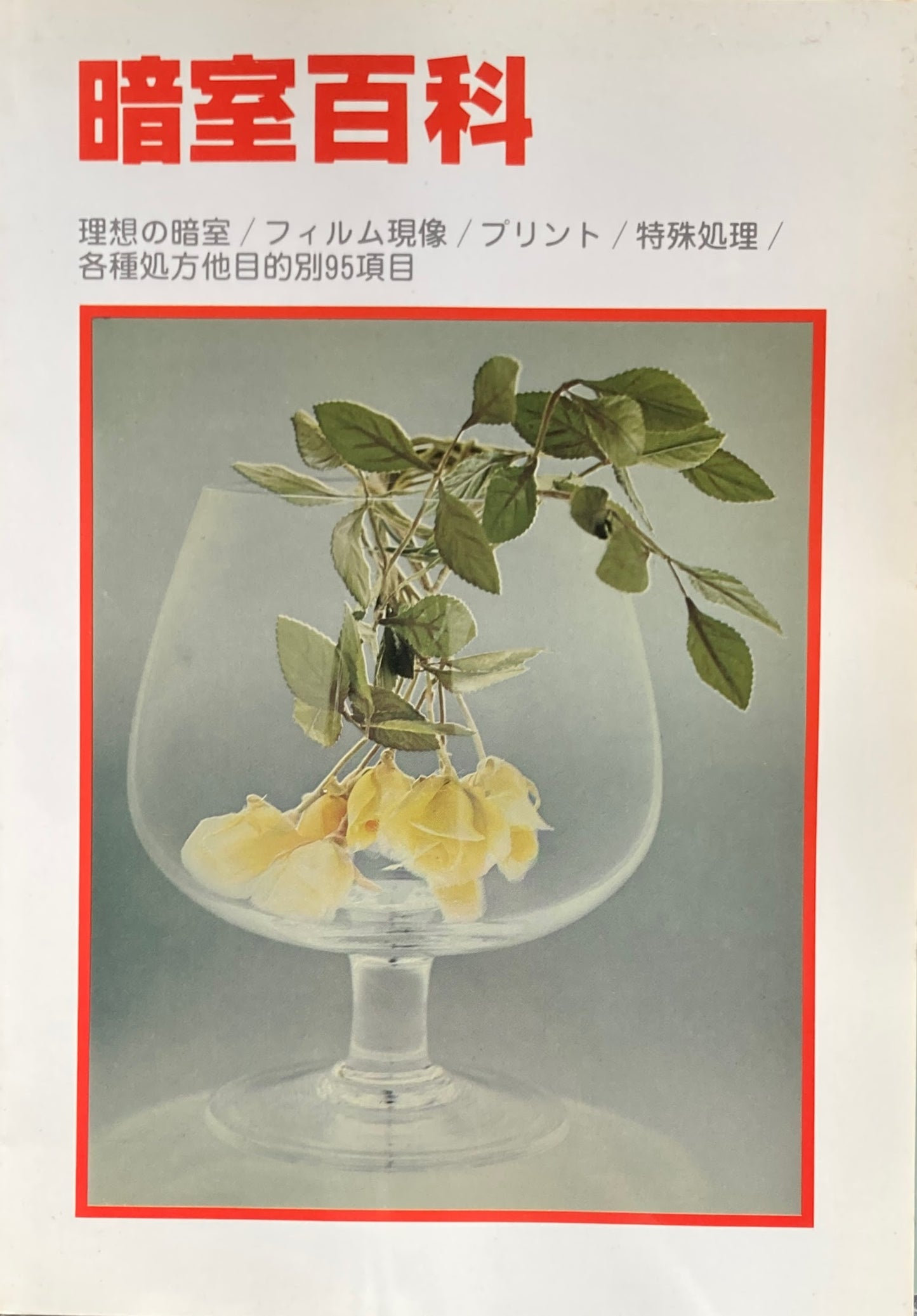暗室百科　写真工業出版社　