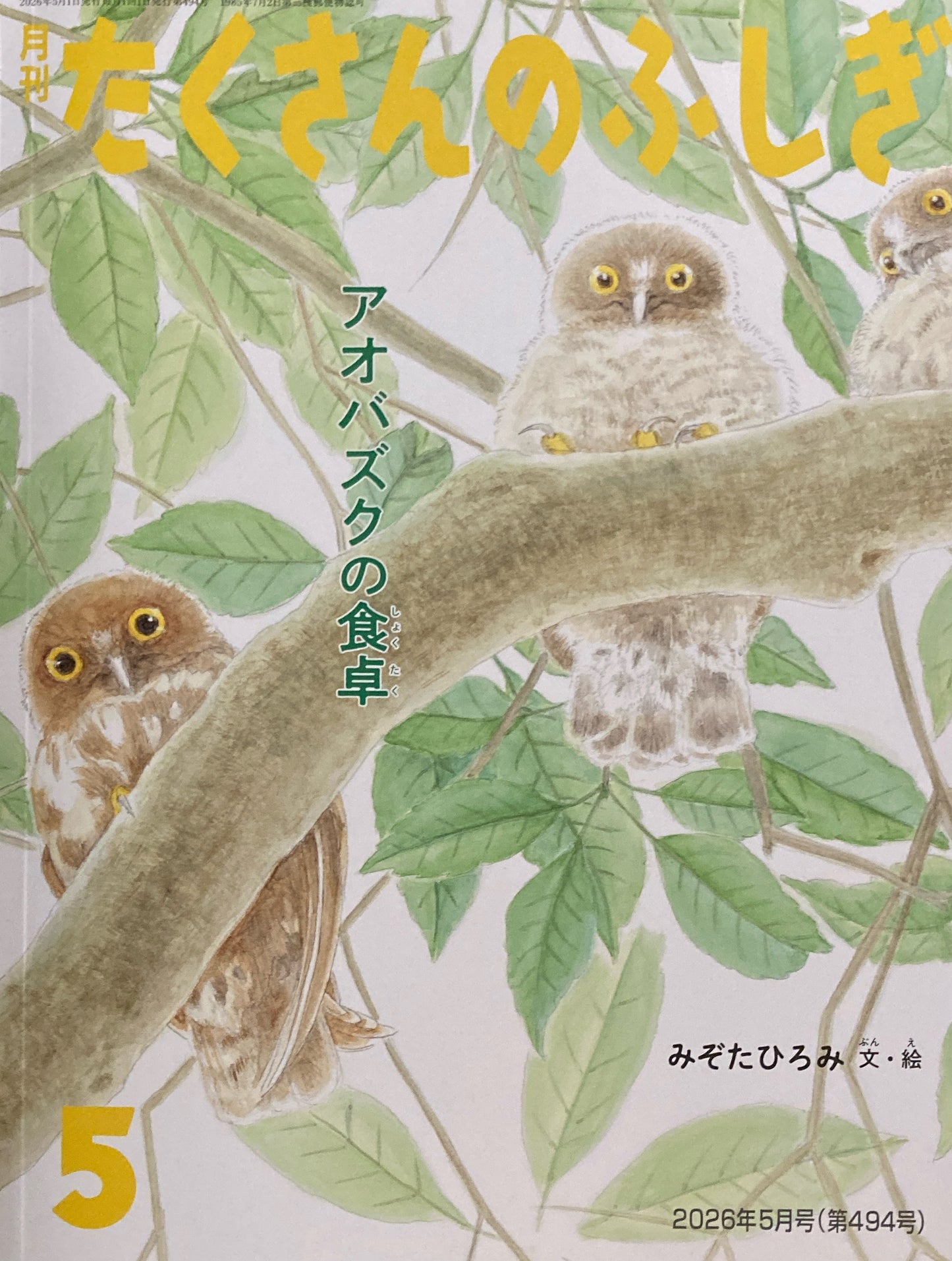 アオバズクの食卓　たくさんのふしぎ494号　2026年5月号