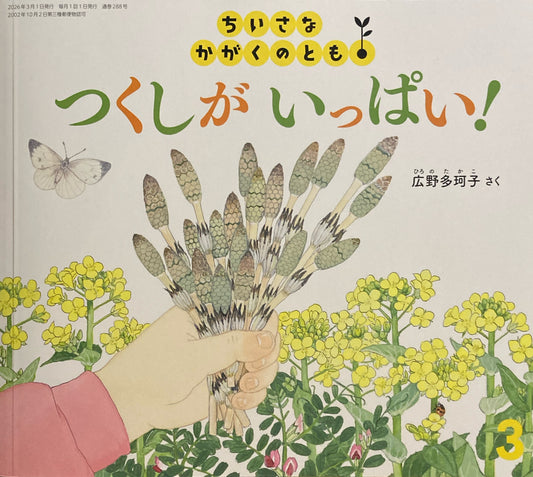 つくしがいっぱい！　ちいさなかがくのとも288号　2026年3月号