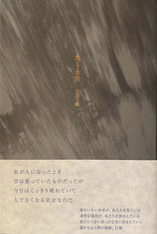 象とY字路　小川三郎　