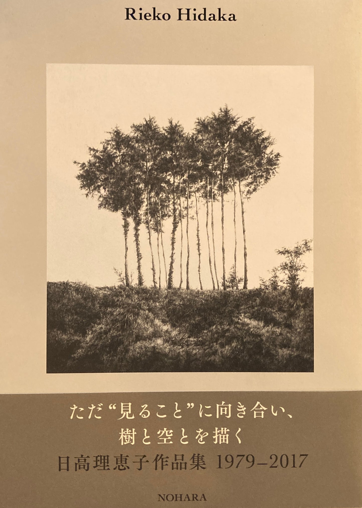 日高理恵子作品集　1979-2017