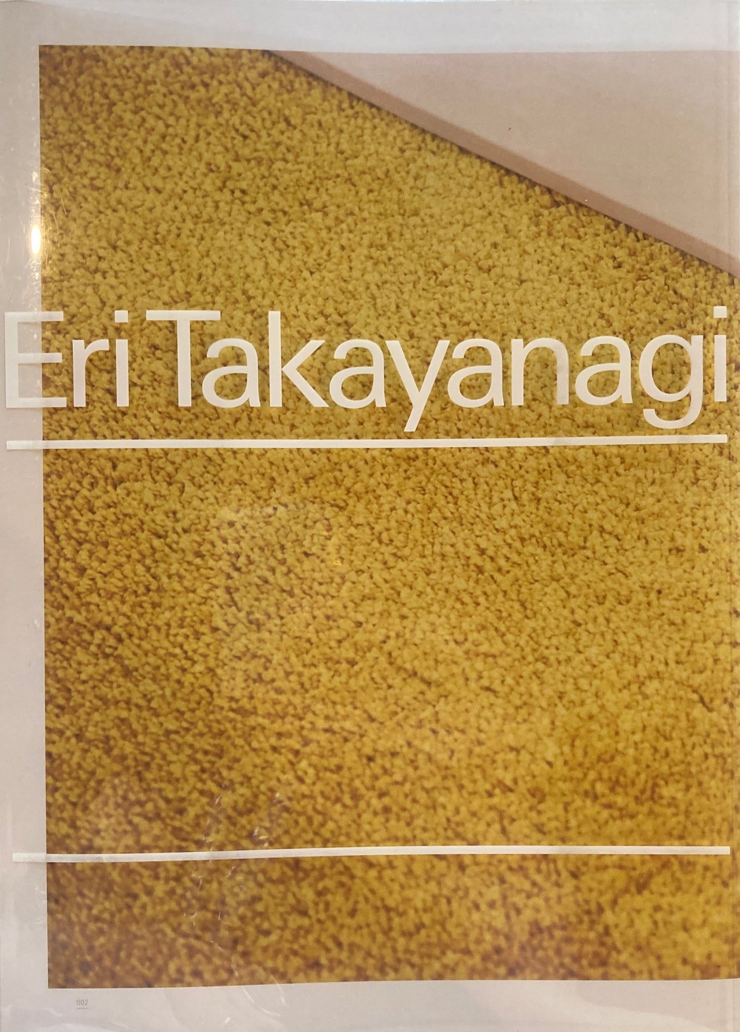 高柳恵里　Eri Takayanagi TALION GALLERY