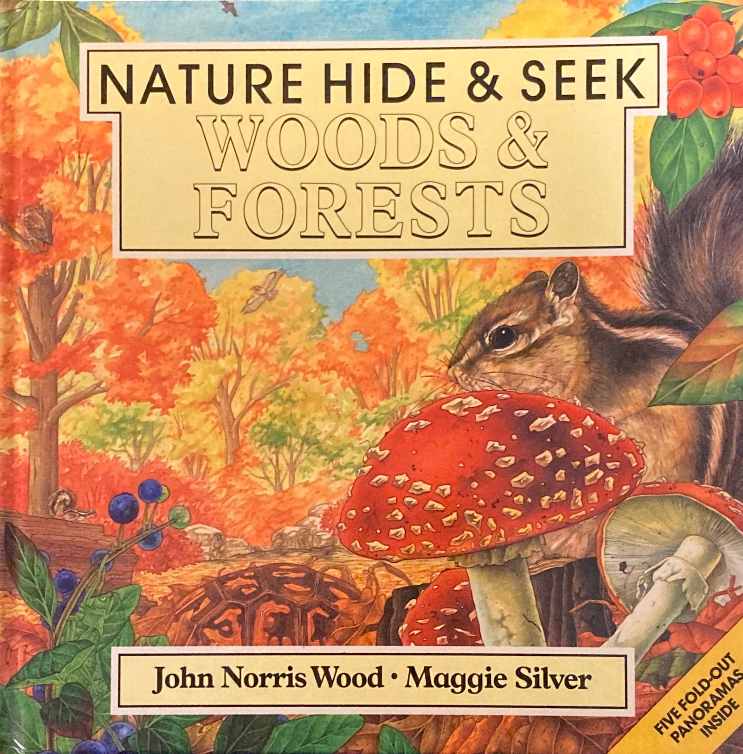 Nature Hide & Seek Woods& Forest 森のかくれんぼ