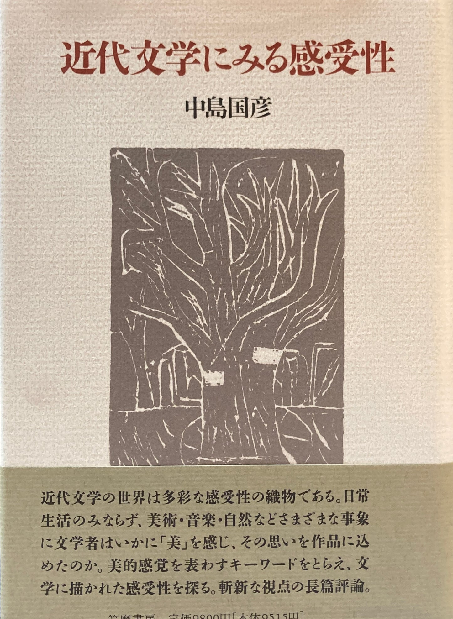 近代文学にみる感受性　中島国彦　