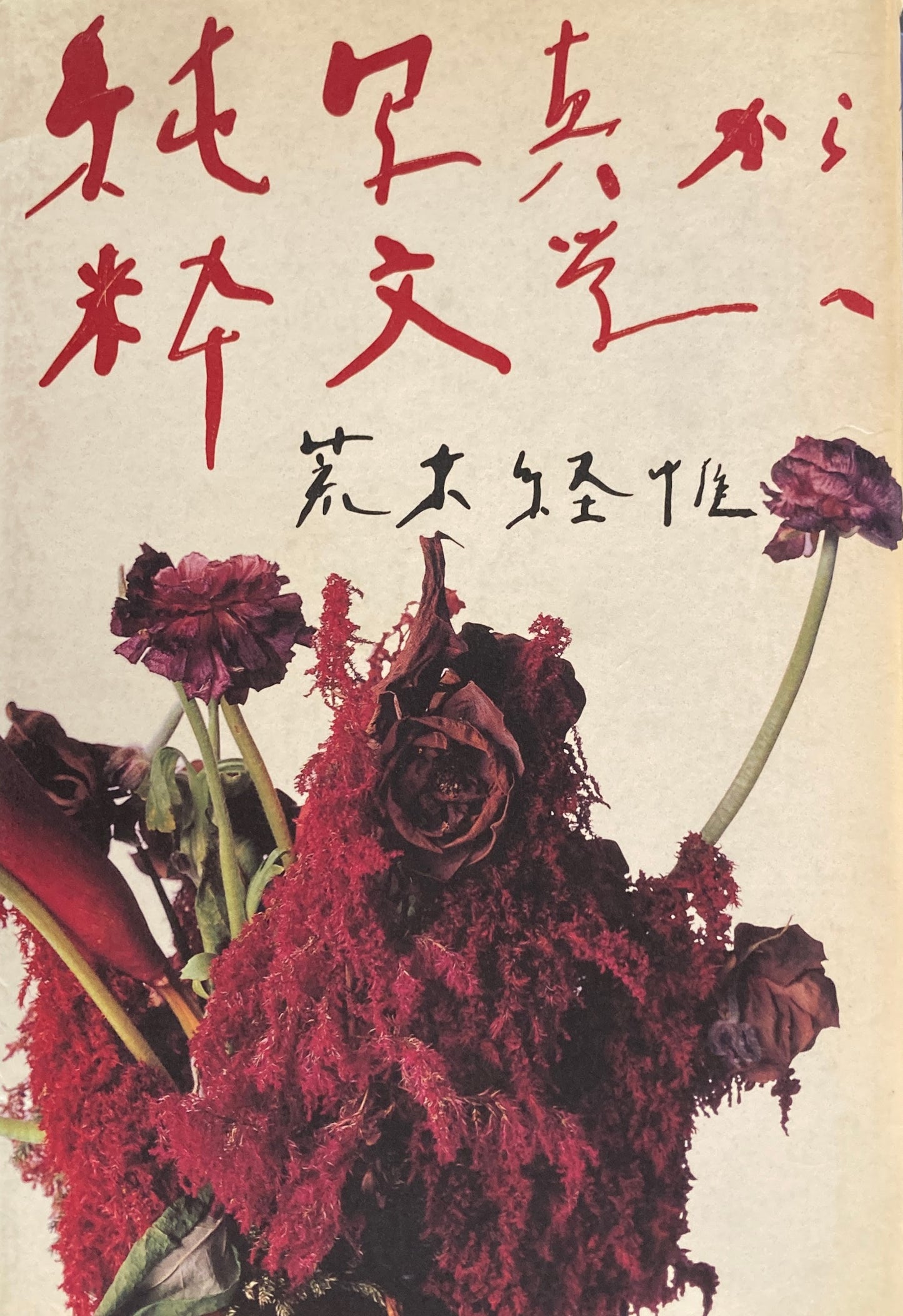 純写真から粋文学へ　荒木経惟