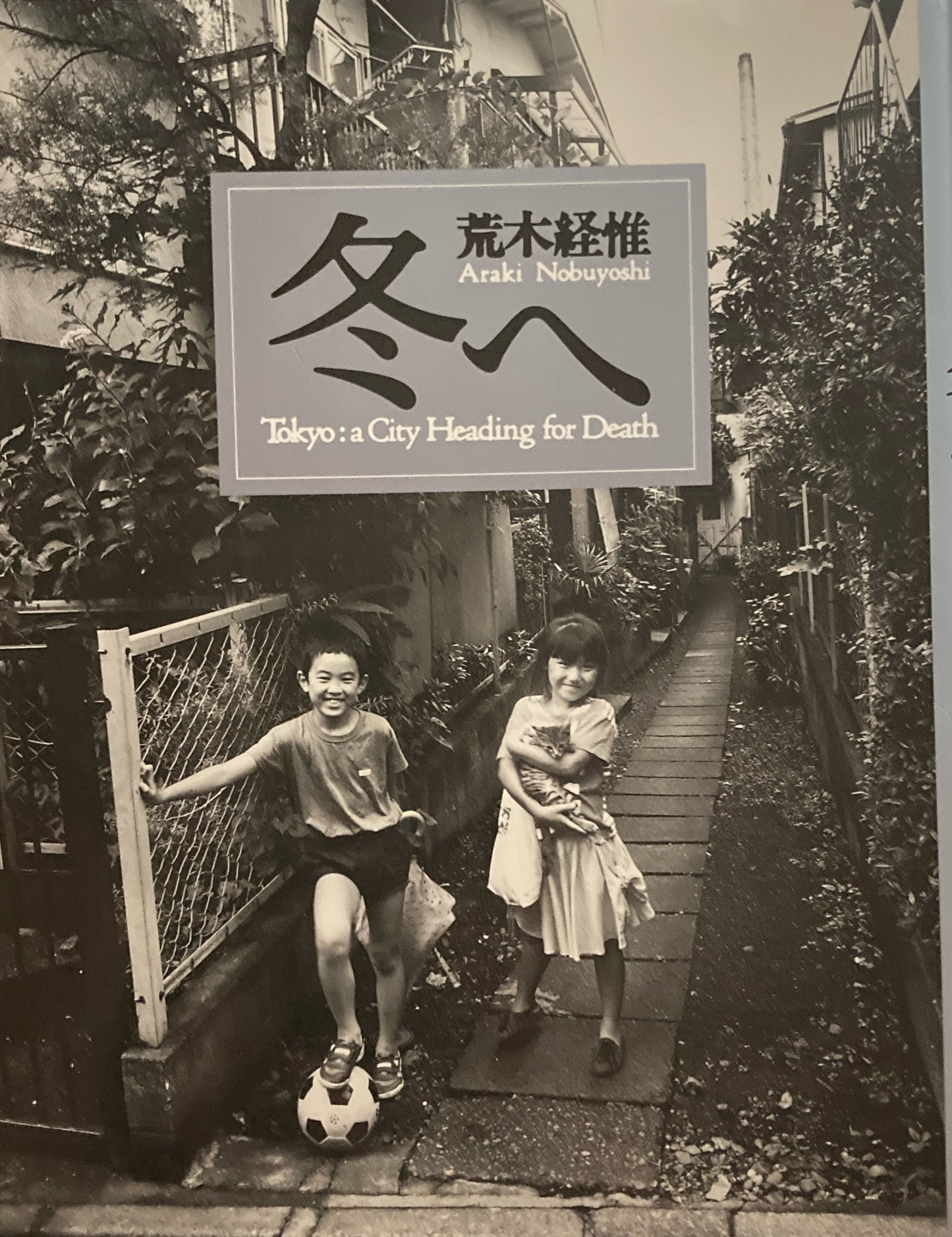 冬へ　荒木経惟