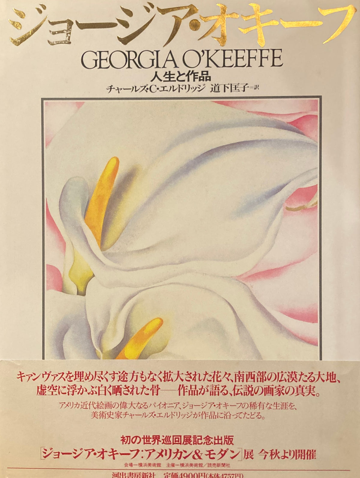 ジョージア・オキーフ　人生と作品　