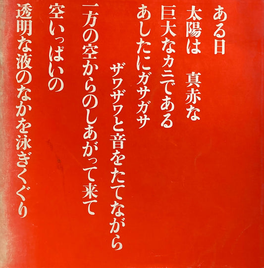 岡本太郎　生命・空間のドラマ  太朗爆発　1968