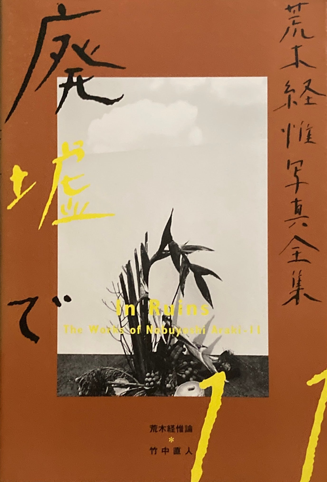 廃墟で　荒木経惟写真全集11