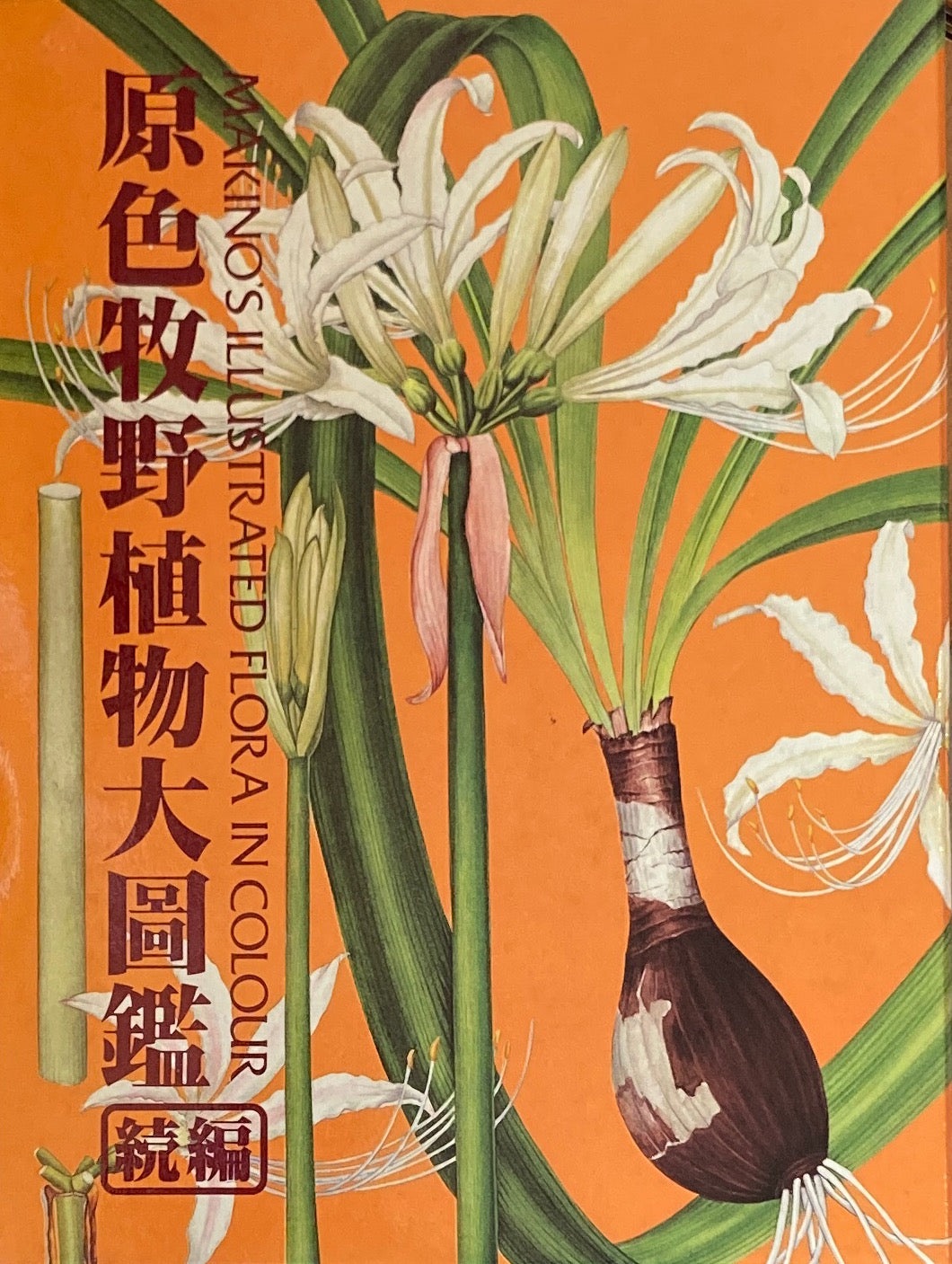 原色牧野植物大図鑑/原色園芸植物大図鑑 全巻3冊セット揃 牧野富太郎