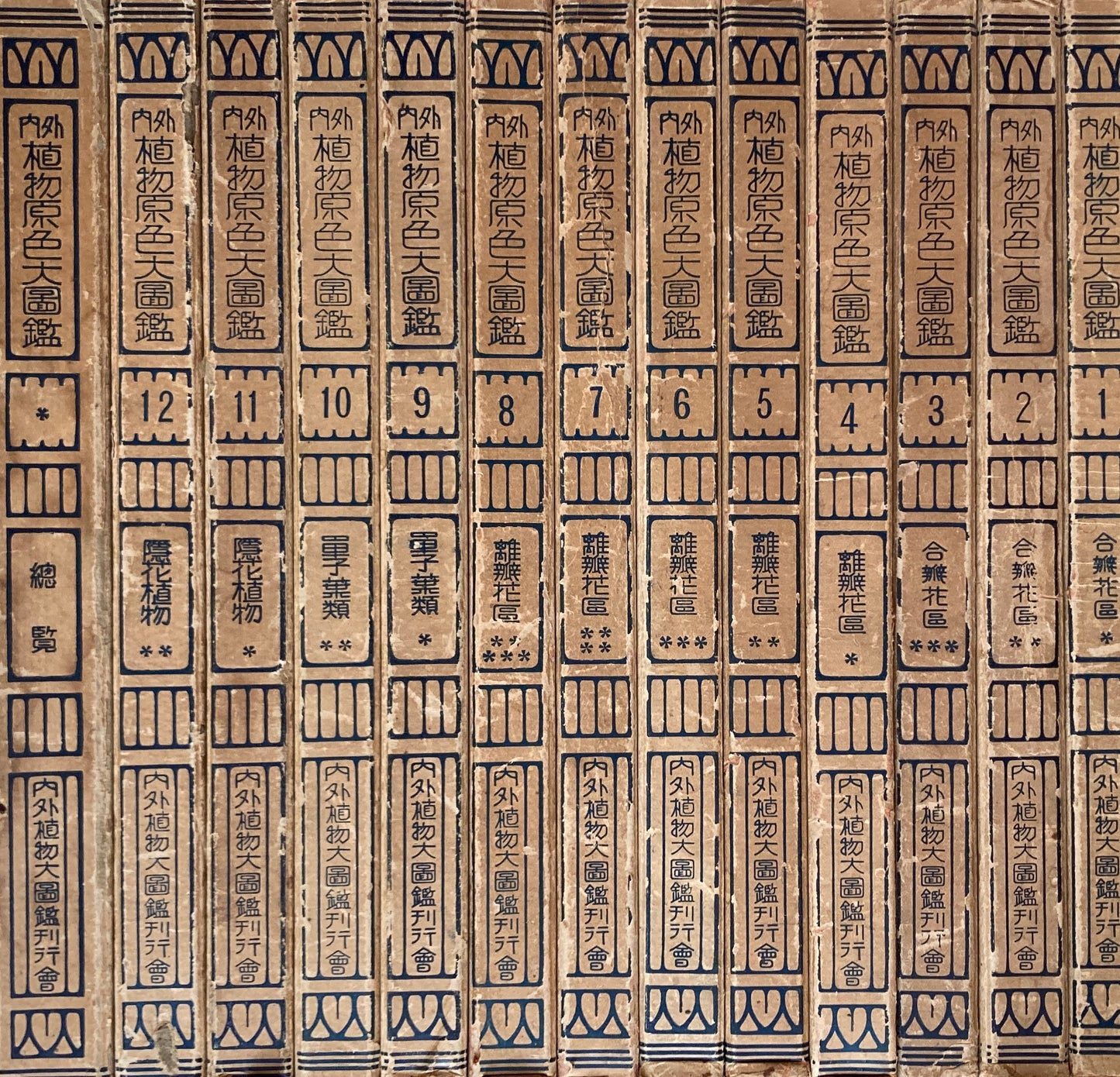 内外植物原色大図鑑　全13冊　昭和8年
