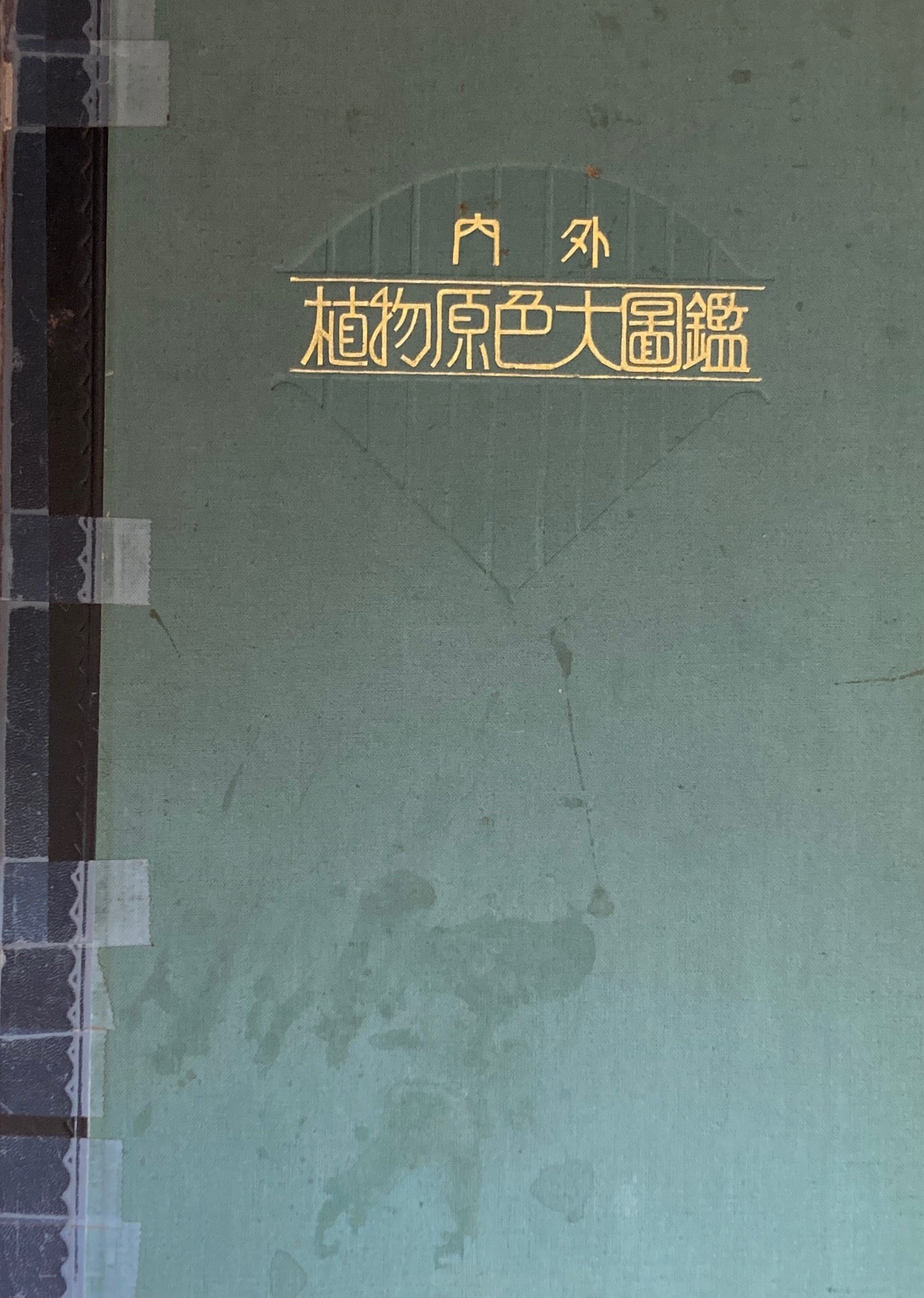 内外植物原色大図鑑　全13冊　昭和8年