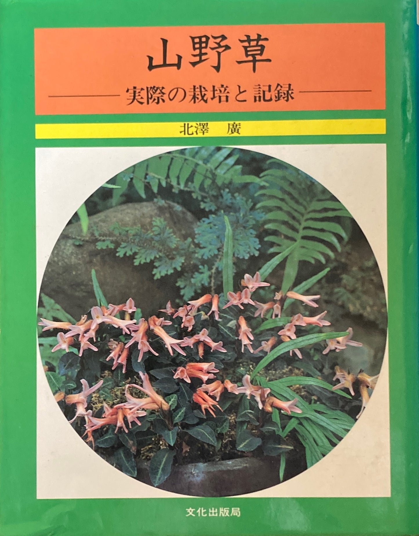 山野草　実際の栽培と記録　北澤廣