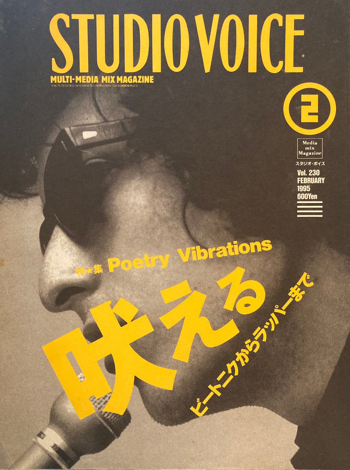STUDIO VOICE　スタジオ・ボイス　Vol.230　1995年2月号　特集　吠える　ビートニクからラッパーまで　Poetry Vibrations 　